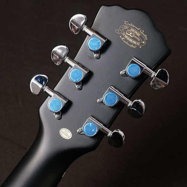Washburn/EBONY D【B級特価 MGK】【在庫あり】