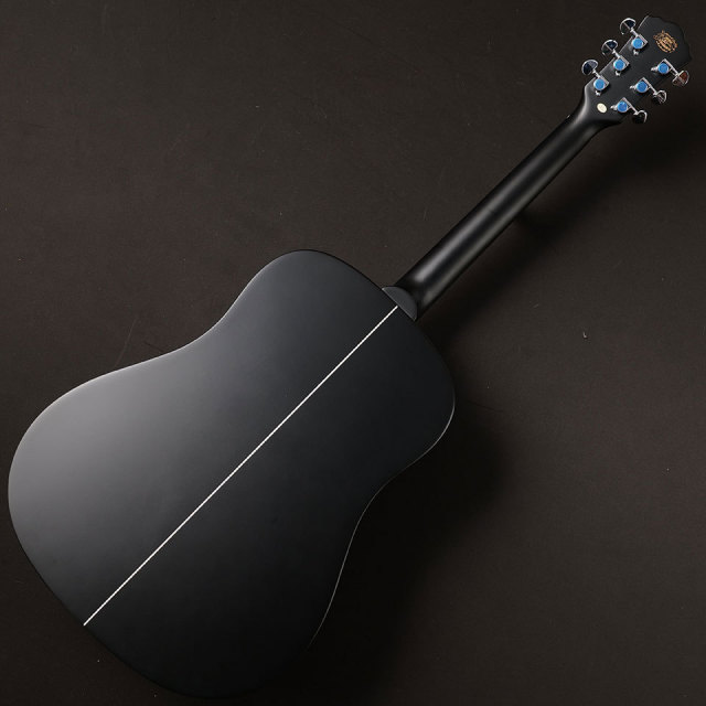 Washburn/EBONY D【B級特価 MGK】【在庫あり】