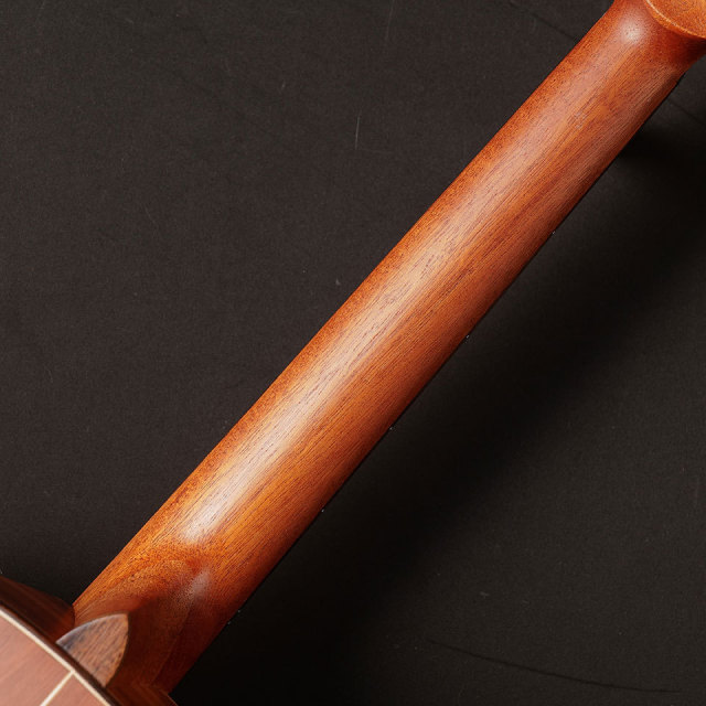 Washburn/G-MINI 55 KOA【お取り寄せ商品】
