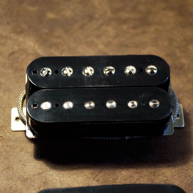 EVERTONE PICKUP/NEWTONE LP set Custom Open【オープンタイプ