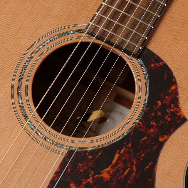 Morris/FE-91【お取り寄せ商品】