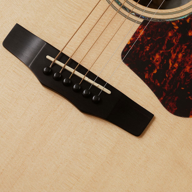 Morris/FE-101【お取り寄せ商品】