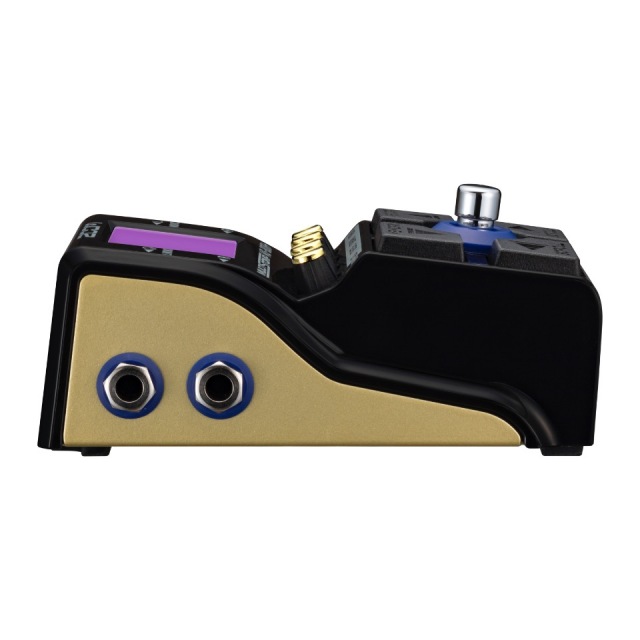 ZOOM/MS-80IR+【お取り寄せ商品】