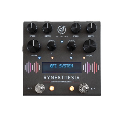 GFI SYSTEM/SYNESTHESIA【お取り寄せ商品】