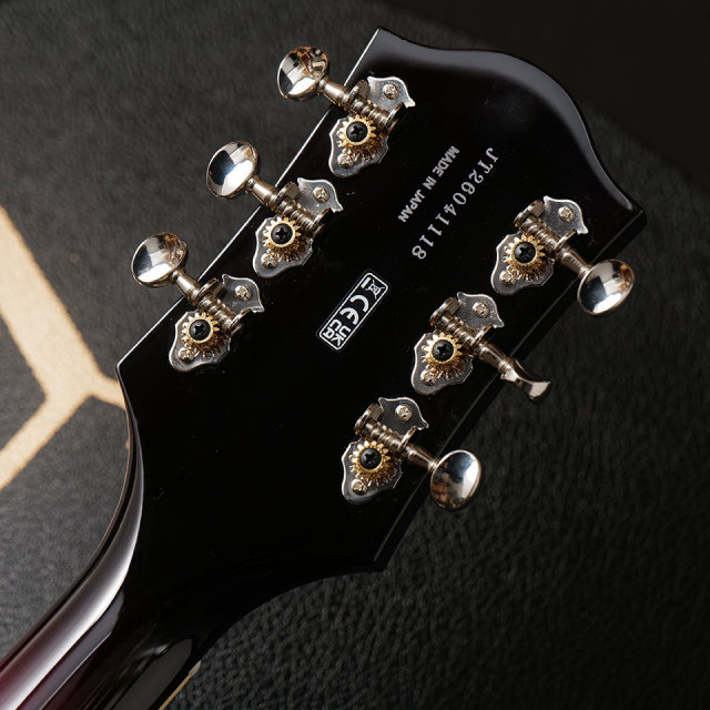 Gretsch/G6119T-62 VS Vintage Select Edition '62 Tennessean【在庫