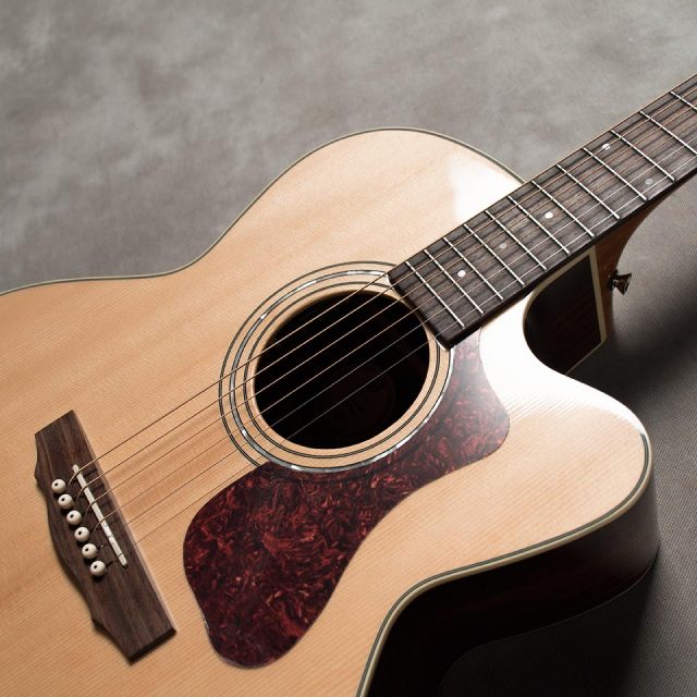 GUILD/F-150CE NAT【お取り寄せ商品】