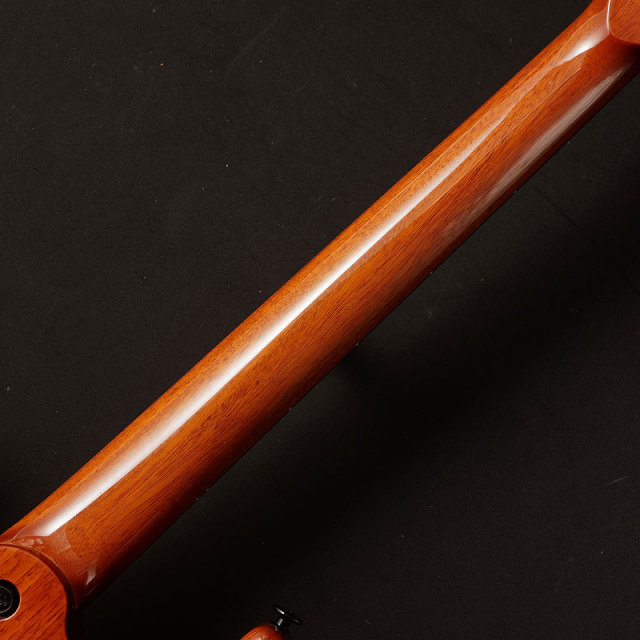 Kz Guitar Works/Kz ST Trad 22 2H5 (Elm Burl)【在庫あり】