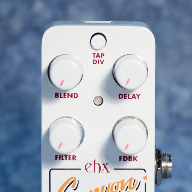 Electro-Harmonix/PICO CANYON ECHO【お取り寄せ商品】【送料無料】