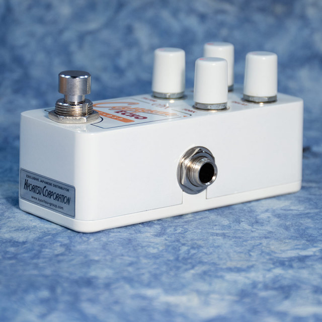 Electro-Harmonix/PICO CANYON ECHO【お取り寄せ商品】【送料無料】