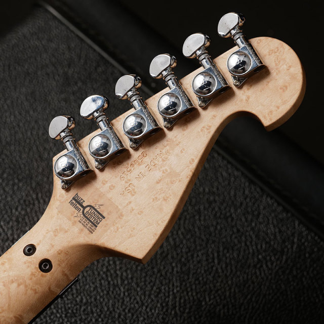 Washburn/N4-NUNO VINTAGE #6519【3.32 kg】【新品特価 MGK】【在庫あり】