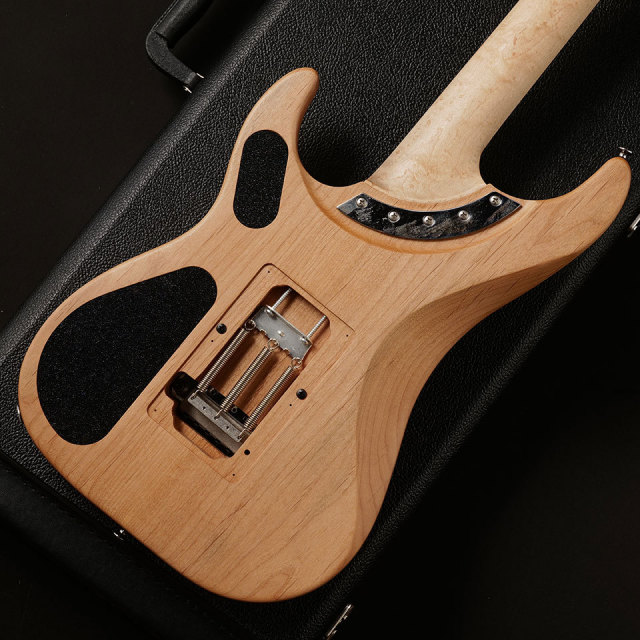 Washburn/N4-NUNO VINTAGE #6519【3.32 kg】【新品特価 MGK】【在庫あり】