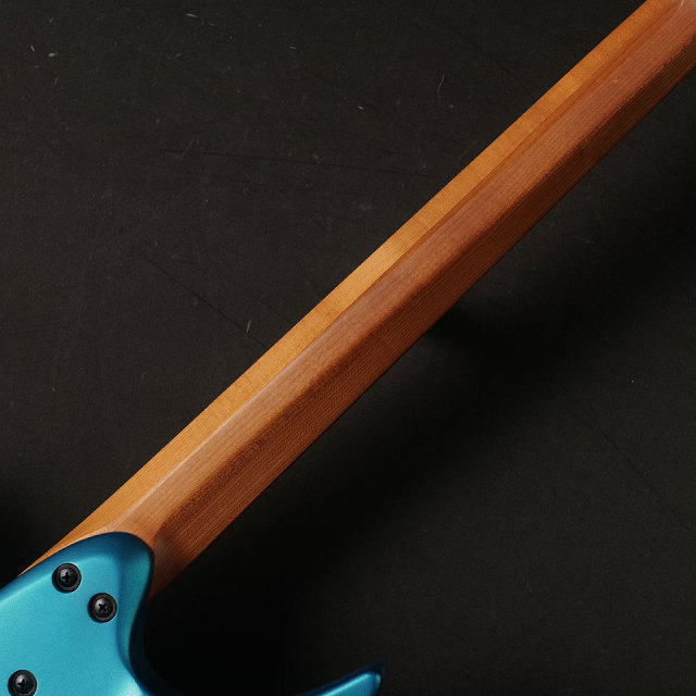 strandberg/Boden Standard N2.6 (Transformative Teal Metallic) #535