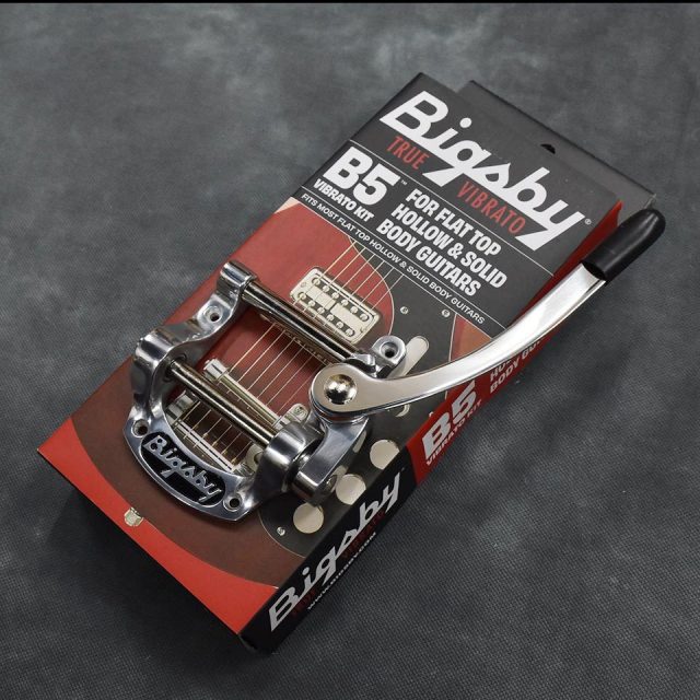 Bigsby/B5 Polished Aluminum【お取り寄せ商品】