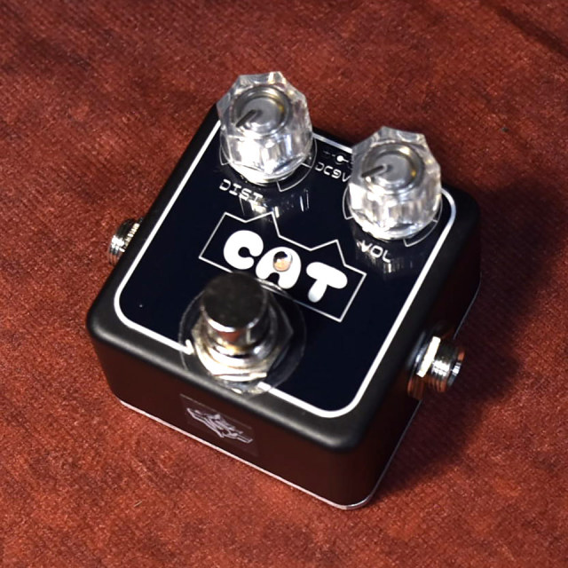 ギター THE NEXT SOUND Super CAT THE NEXT SOUND/CH-09 CAT【お取り寄せ商品】