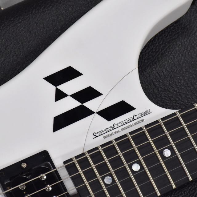 Washburn/N4 GWH【在庫あり】