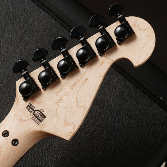 Washburn/N4 GWH【在庫あり】