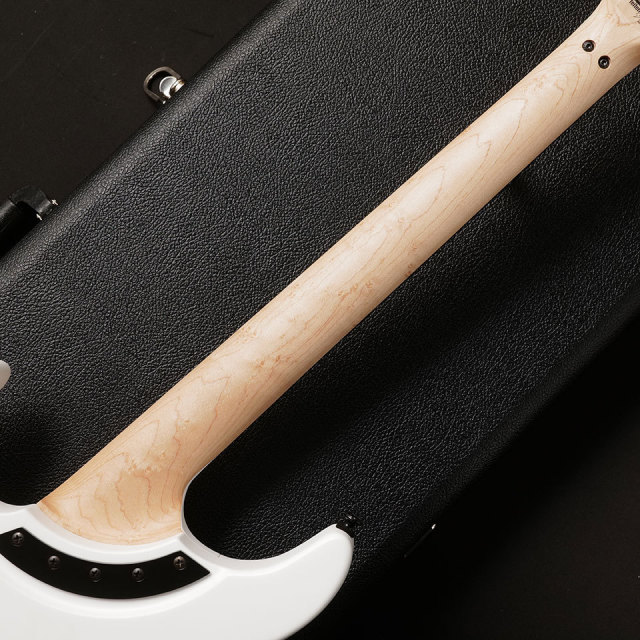 Washburn/N4 GWH【在庫あり】