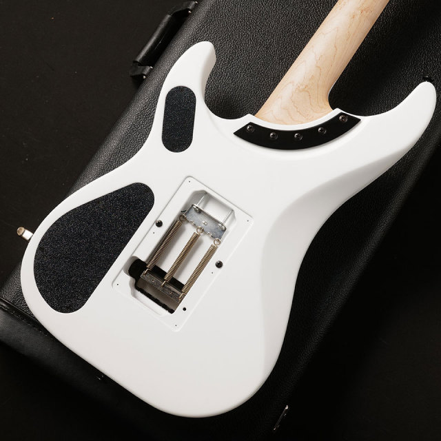 Washburn/N4 GWH【在庫あり】