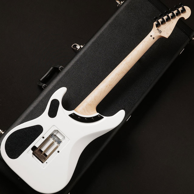 Washburn/N4 GWH【在庫あり】