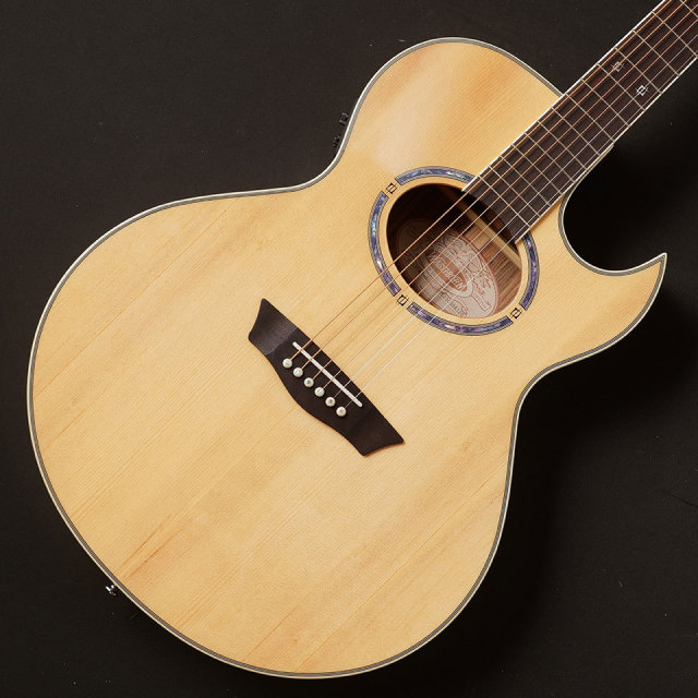 Washburn/EA20S-NUNO BETTENCOURT【お取り寄せ商品】