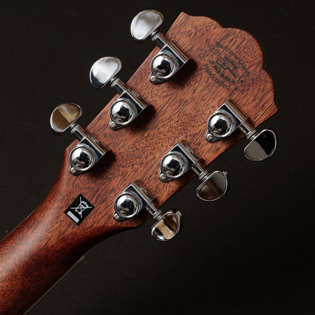 Washburn/EA20S-NUNO BETTENCOURT【お取り寄せ商品】