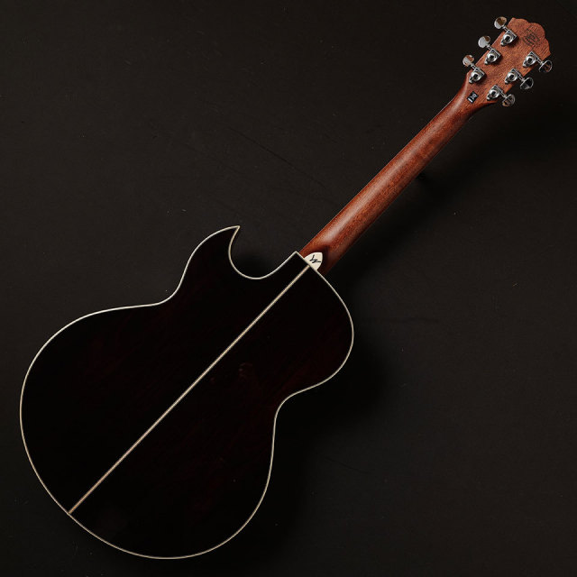 Washburn/EA20S-NUNO BETTENCOURT【お取り寄せ商品】