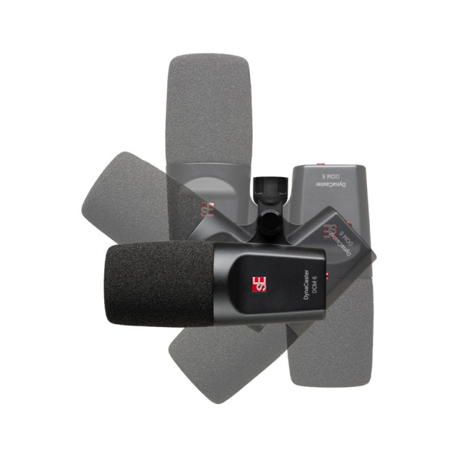 sE ELECTRONICS/DynaCaster DCM6