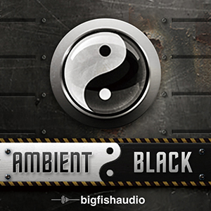 BIG FISH AUDIO/Ambient Black【オンライン納品】【在庫あり】