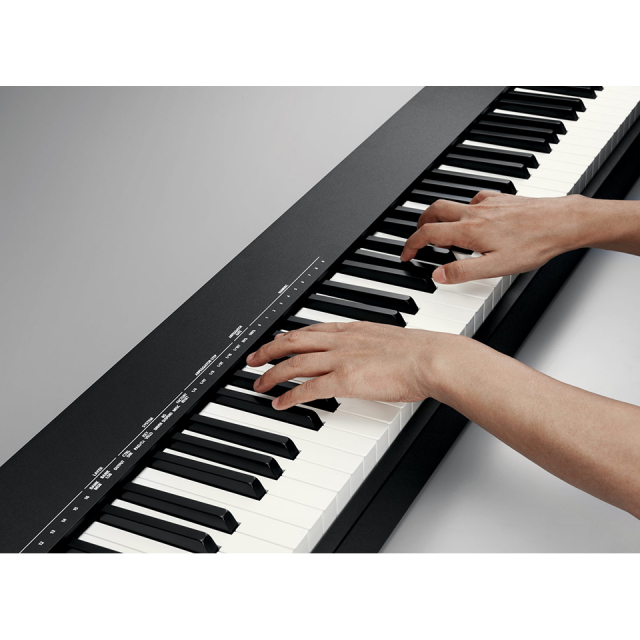 【最終価格】ROLAND ( ローランド ) A-88MK2 MIDIキーボード ROLAND ( ローランド ) A-88MK2 MIDIキーボード 送料無料