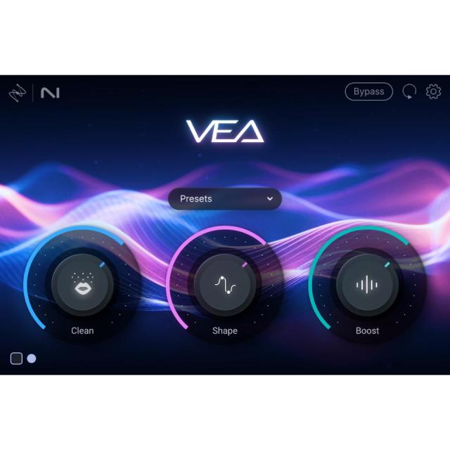 iZotope/VEA【オンライン納品】