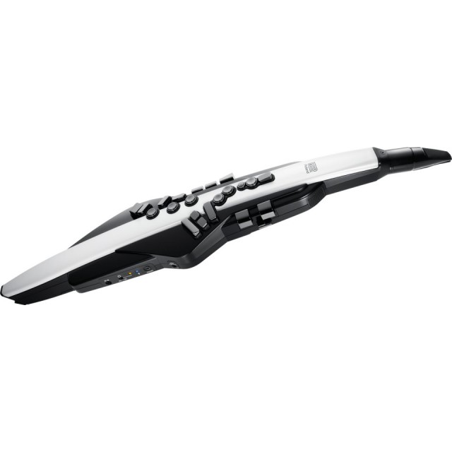 Roland/Aerophone AE-20