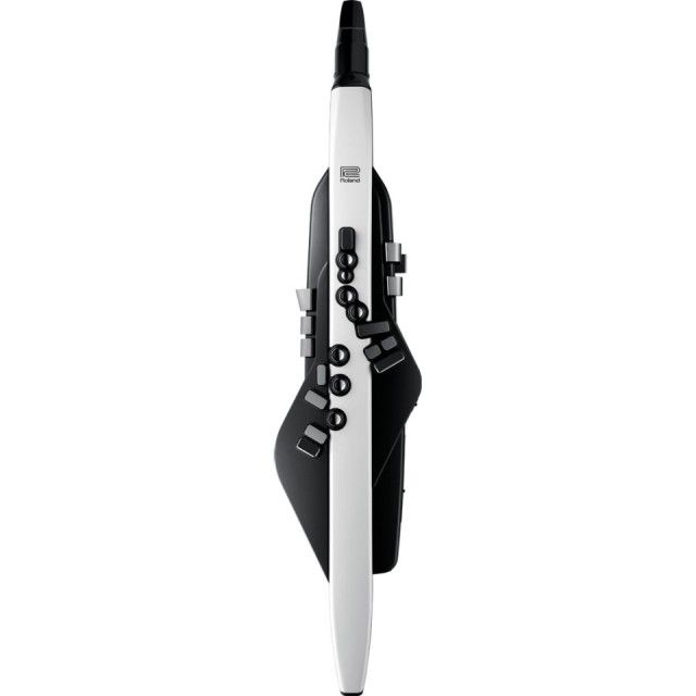 Roland/Aerophone AE-20