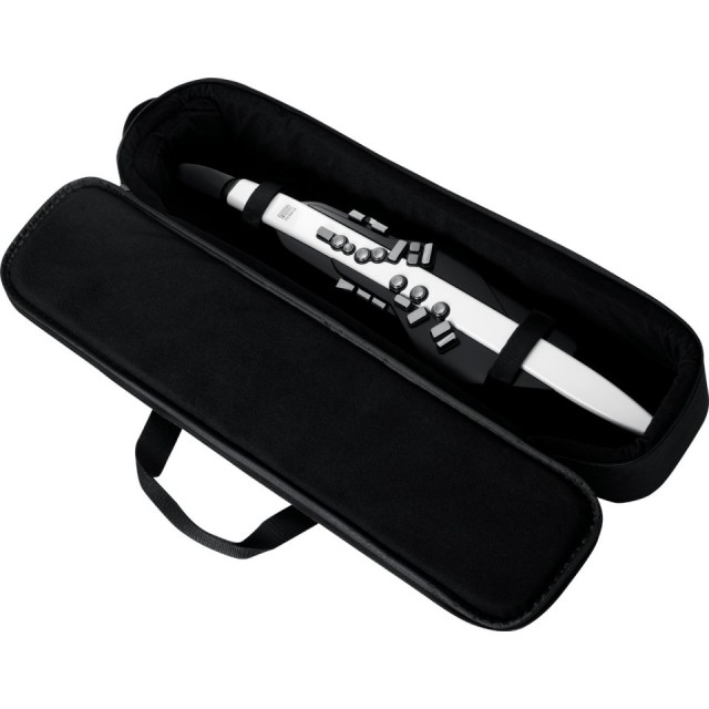 Roland/Aerophone AE-20