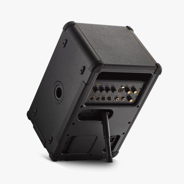 Positive Grid/Spark LIVE