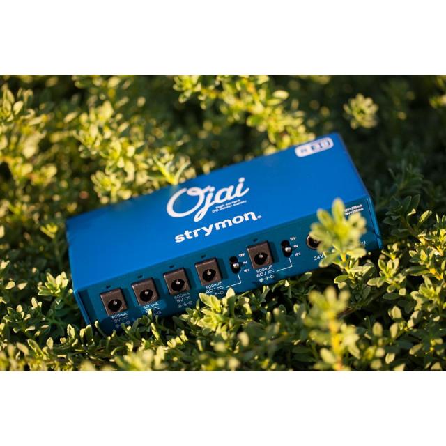 strymon/Ojai R30【在庫あり】