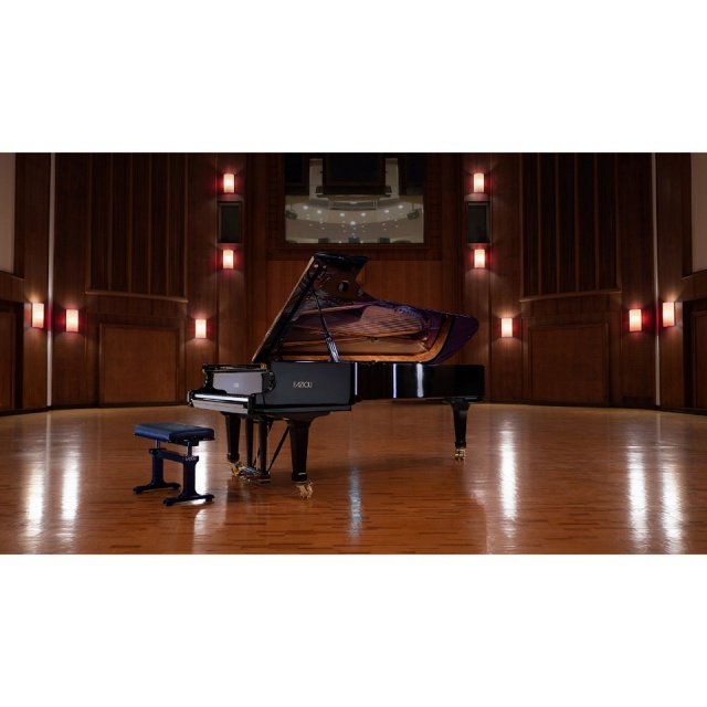 Vienna Symphonic Library/SYNCHRON FAZIOLI F308