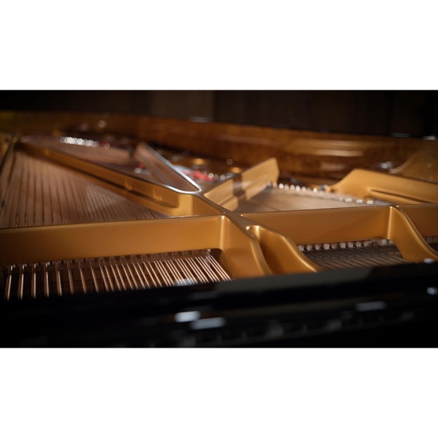 Vienna Symphonic Library/SYNCHRON FAZIOLI F308