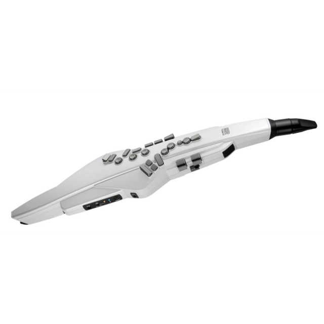 Roland/Aerophone AE-20W