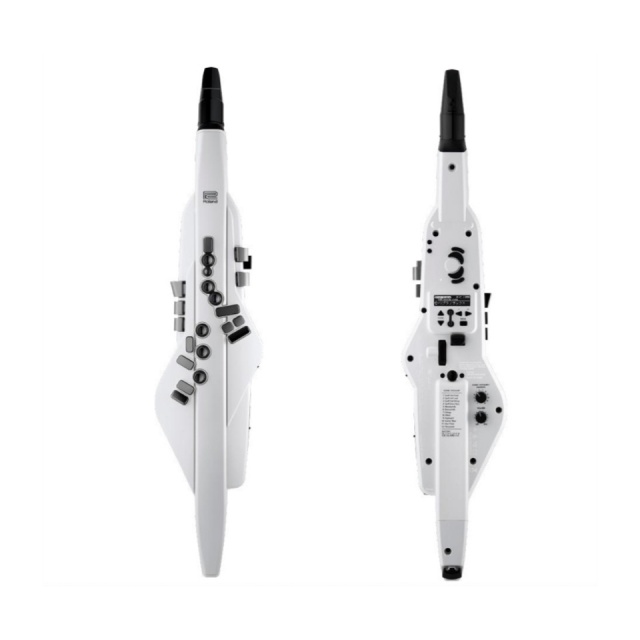 Roland/Aerophone AE-20W