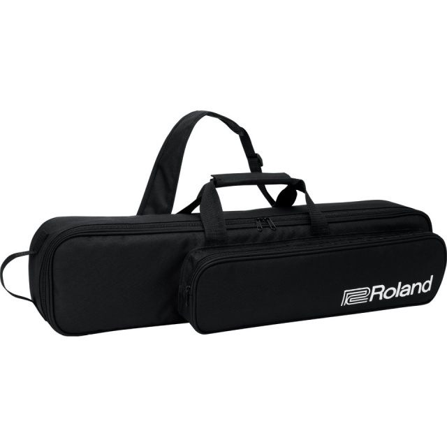 Roland/Aerophone AE-20W