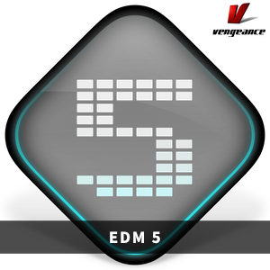 VENGEANCE SOUND/EDM 5【オンライン納品】【在庫あり】