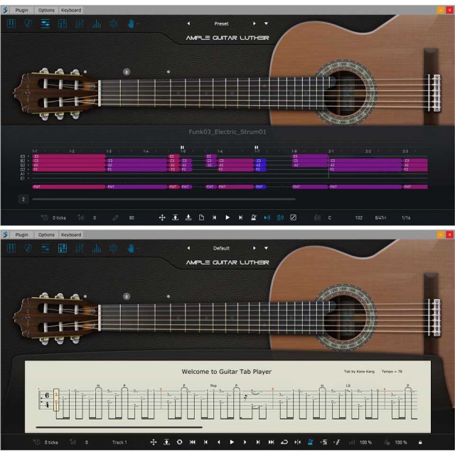 AmpleSound Ample Guitar LⅢ AMPLE SOUND AMPLE GUITAR L III 送料無料 | Sound House