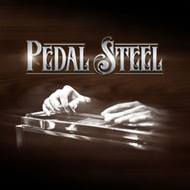 IMPACT SOUNDWORKS/PEDAL STEEL【オンライン納品】【在庫あり】