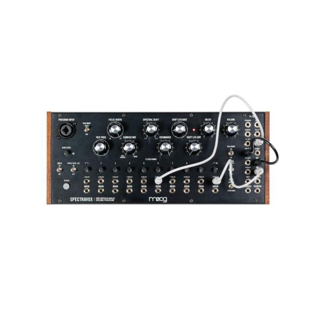 Moog/Spectravox【在庫あり】
