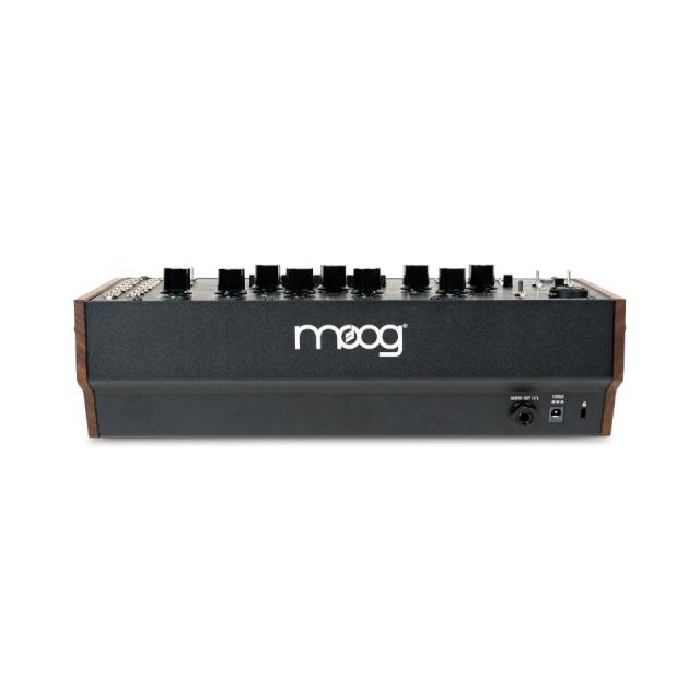 Moog/Spectravox【在庫あり】