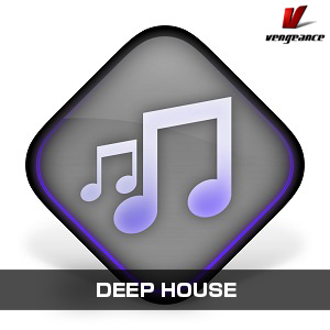 VENGEANCE SOUND/DEEP HOUSE【オンライン納品】【在庫あり】
