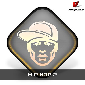 VENGEANCE SOUND/HIP HOP 2【オンライン納品】【在庫あり】