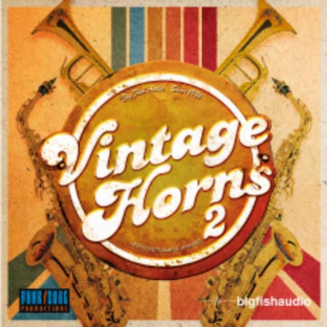 BIG FISH AUDIO/VINTAGE HORNS 2【オンライン納品】【在庫あり】