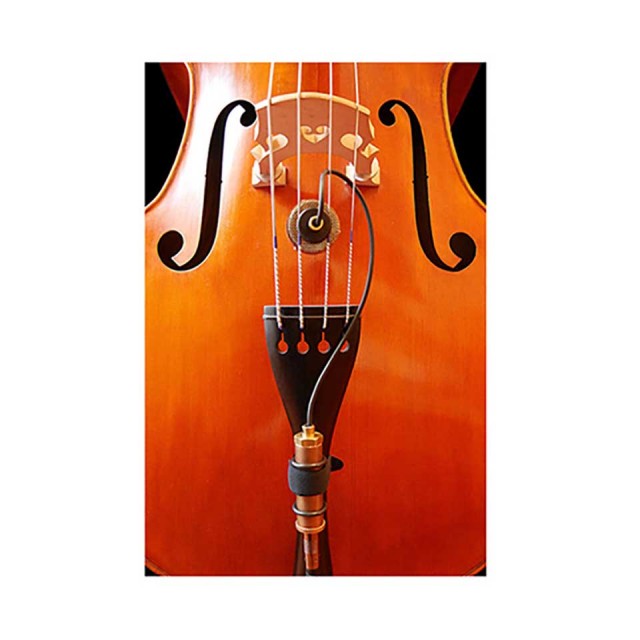 Ear Trumpet Labs Nadine コンデンサーマイク Ear Trumpet Labs Nadine Microphone for Upright Bass