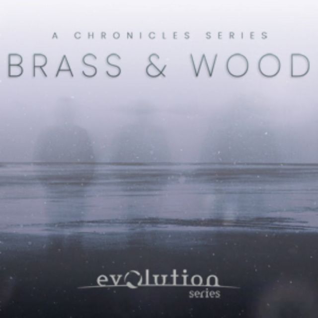 EVOLUTION SERIES/CHRONICLES BRASS & WOOD【～05/12 期間限定特価キャンペーン】【オンライン納品】【在庫あり】